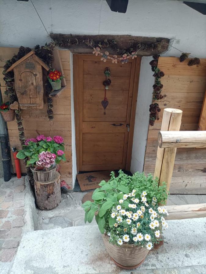 Maison Du Mont * Aosta